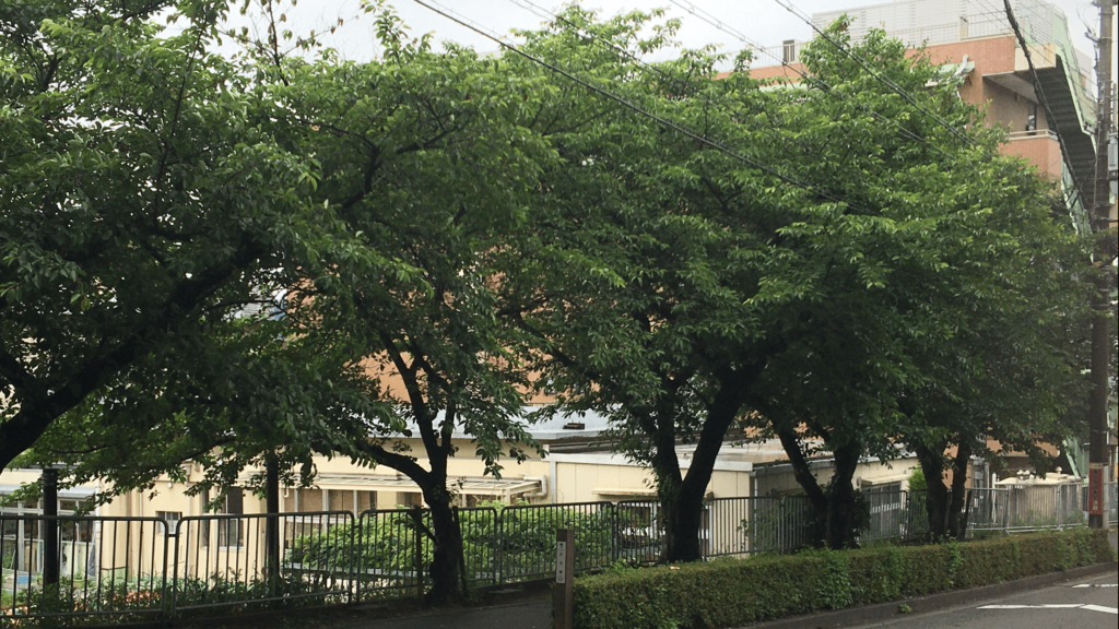 施設周辺の緑豊かな庭園と建物外観。大きな樹木が茂る落ち着いた環境。
