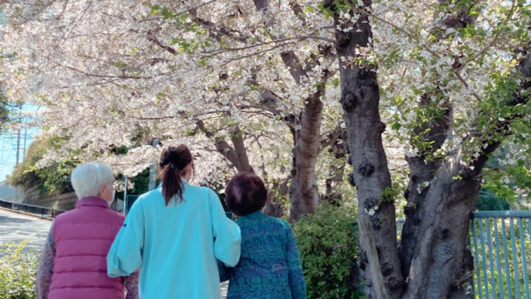 桜の木の下で花見を楽しむ入居者と職員。春の施設周辺環境。
